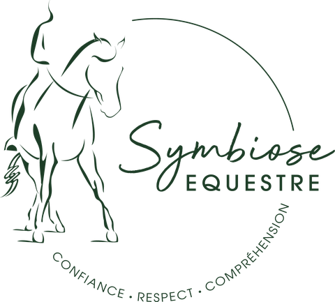 Symbiose Équestre : confiance, respect, compréhension
